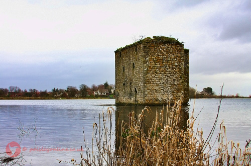 Castle-IMG_2529t1 (500x330)